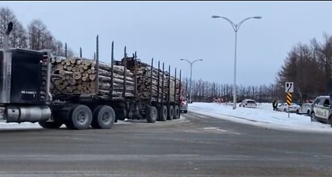 Logging 🪵 trucks headed to Quebec Canada!