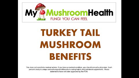 Turkey Tail Mushroom Benefits - My Mushroom Health