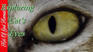 Exploring Cat's Eyes