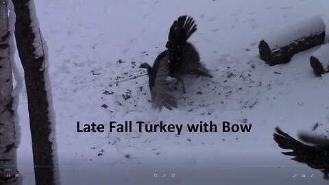 Late Fall Turkey with Bow