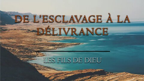 Les Fils de Dieu - #4 De l'Esclavage à la Délivrance - Olivier Dubois