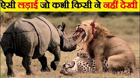 जंगली जानवरों की सबसे भयंकर लड़ाइयां | Craziest Fights of Wild Animals | Animal Fights in Hindi