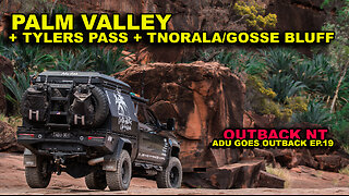 GOSSE BLUFF | PALM VALLEY | DESERT PALMS | YOU CANT MISS THIS OUTBACK OASIS!!! MILLION YR OLD CRATER