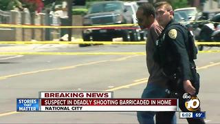 Man struggles with police at National City standoff