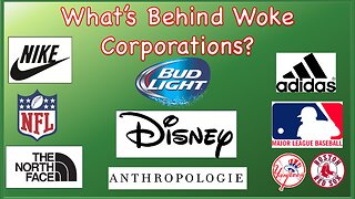 What's Behind Woke Corporations? (EP. 23)