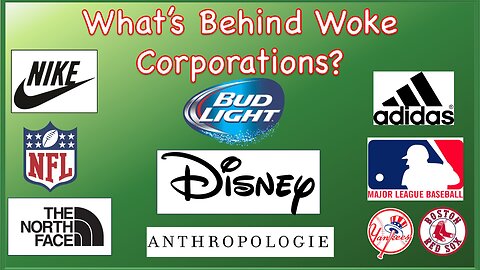 What's Behind Woke Corporations? (EP. 23)