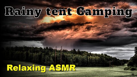 Solo in the Rain Forest Interesting Tarp Tent Camping / Rain ASMR, Cozy Vibes, DD Tarp