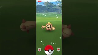 Shiny Compilation