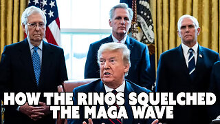 How the RINOS Squelched the MAGA WAVE