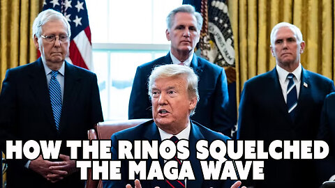 How the RINOS Squelched the MAGA WAVE