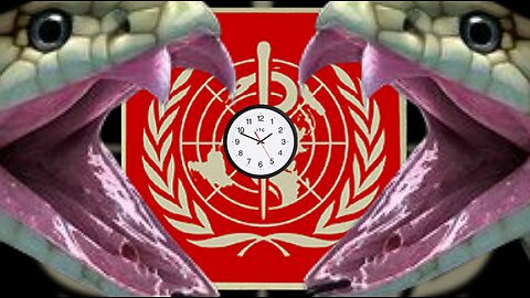 STOP IT NOW! "STOP THE 'WHO' PANDEMIC TREATY & REJECT IT'S AMENDMENTS! BEFORE IT'S TOO LATE"