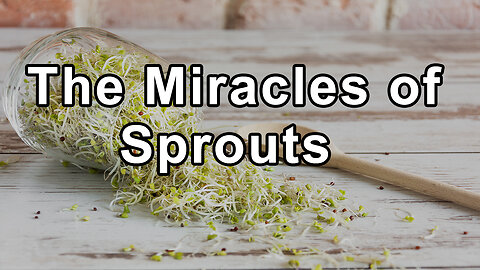 The Miracles of Sprouts and the Pros and Cons of Consuming Oils