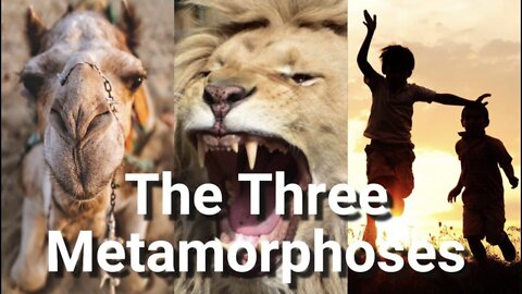 THE THREE METAMORPHOSES
