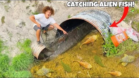 I Caught ALIEN FISH In HIDDEN TUNNEL!