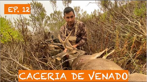 CACERIA DE VENADO @ 450 YARDAS CON RIFLE 308 #hunting #cacería #venados #venados #ballesta #hunter