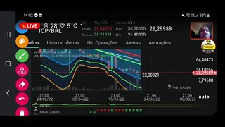 Live: Análise do mercado de criptomoedas