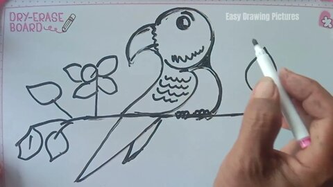 Easy Drawing Pictures: Learn to draw a Parrot