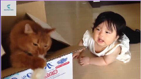 Cutest Babies Play With Cats Compilation || Catsy99