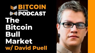 The Bitcoin Bull Market w/ David Puell - Bitcoin Magazine Podcast