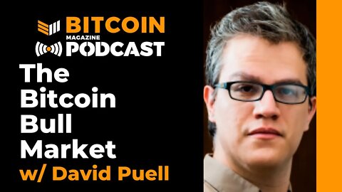 The Bitcoin Bull Market w/ David Puell - Bitcoin Magazine Podcast