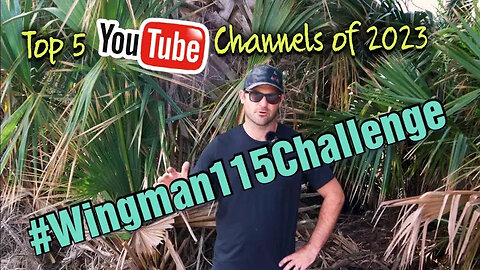 Top 5 YouTube Channels of 2023 #airgun #wingman115challenge