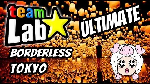 ULTIMATE teamLab BORDERLESS TOKYO Experience | チームラボ ボーダレス お台場