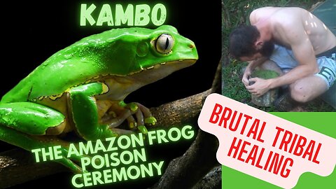 Kambo, The Frog Poison Medecine from the Amazon.Footage from my First Ceremony at the RetreatCenter!