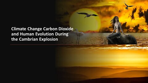 Climate Change Carbon Dioxide and Human Evolution During the Cambrian Explosion