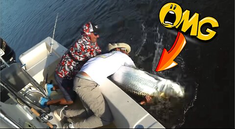 Monster Tarpon in the Everglades
