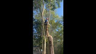 Dropping a branch ￼down a cliff￼