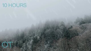 BLIZZARD IN THE BLUERIDGE| Howling wind and blowing snow for Relaxing| Study| Sleep| Winter Ambience