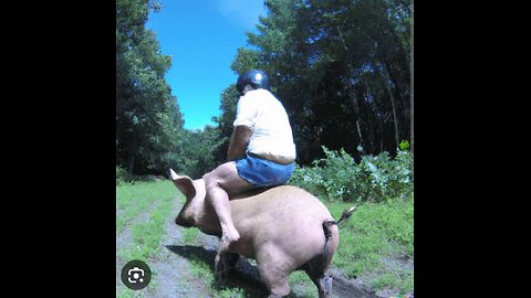 He is riding a pig🤣🤣🤣 #trending #viral #shorts #funny