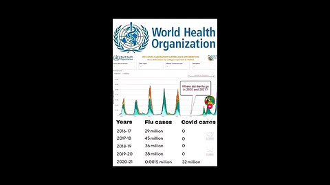 Whete did flu deaths go in 2020-2021?