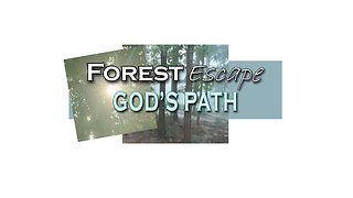 Forest Escape Be Happy God is in Control and He Made All This for Us to Enjoy