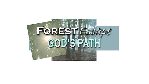 Forest Escape Be Happy God is in Control and He Made All This for Us to Enjoy