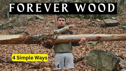 4 Ways to Make Wood Last FOREVER (Bushcraft)