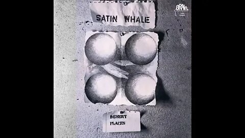 Uma banda progressiva alemã : SATIN WHALE (Desert places, 1974, parte 2)