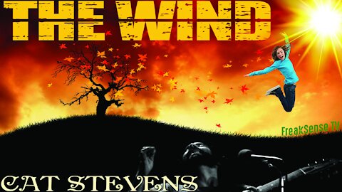 The Wind by Cat Stevens ~ Take No Thought for Your Life!