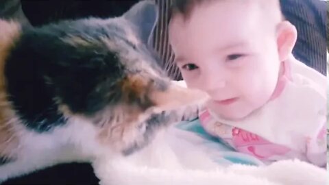 cats struggle with children funny videos - 2021 - HD - (Part 1) try not to laugh