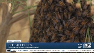 Woman stung by bees more than 75 times during family photo shoot in Buckeye