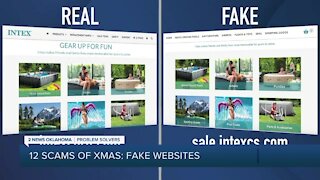 12 Scams of Christmas: fake websites