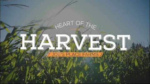 Heart of the Harvest: Joe’s Place Farms