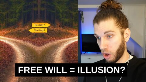 What I've Learned About Free Will (Surprising)