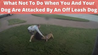 Dog Attack: What To Do & What Not To Do When Attacked By Off-Leash Dog, Defend Against Dog Attack