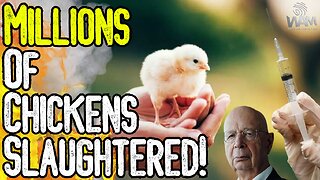 MILLIONS OF CHICKENS SLAUGHTERED! - Bird Flu Hoax & The DEVASTATION & Vaccination Of The Food Supply