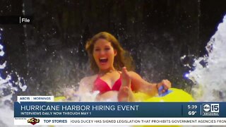 Hurricane Harbor hiring event