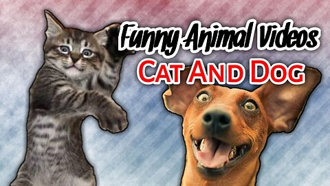 Funniest Animals 2023, Funny Cat And Dog Videos