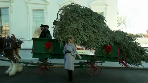 The First Lady Participates in the White House Christmas Tree Delivery, North Portico, 12PM EST