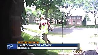 Milwaukee woman’s yard ruined by angry man with weed wacker