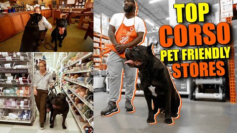 Top Cane Corso PET Friendly Stores @The Home Depot